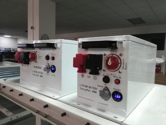 FoShan RJ 36v 48v 60v 100ah 800ah 1000ah lithium ion batteries for Duffy E-Ship Lead acid drop in replacement