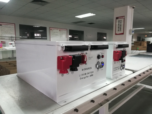 FoShan RJ 36v 48v 60v 100ah 800ah 1000ah lithium ion batteries for Duffy E-Ship Lead acid drop in replacement