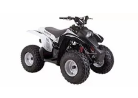 FOSHAN RJ 60V 72V 96V 150AH 800AH 1200AH LITHIUM LFP BATTERY FOR ALPHASPORTS OFF-ROAD BUGGIES IEC62619 MSDS CERTIFIED