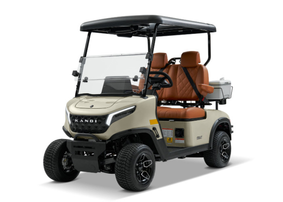 FoShan RJ 36v 48v 60v 150ah 300ah 500ah lithium lifepo4 battery for Kandi Golf Cart Lead acid drop in replacement